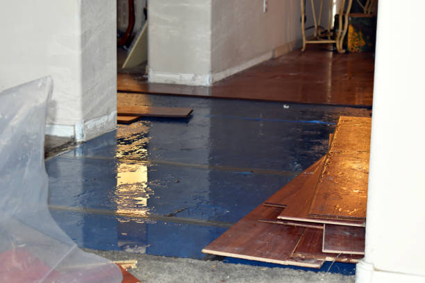 Professional Burst Pipe Cleanup technician working in Blaine, MN
